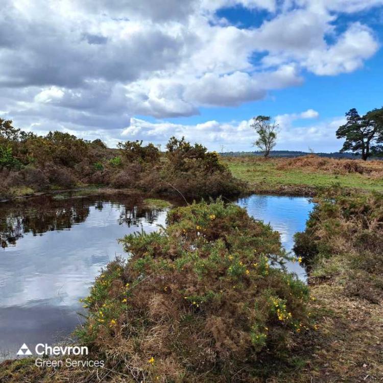 Through nature's lens, caring for their world and our planet