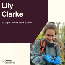 Meet our podcast host Lily Clarke, Ecologist 