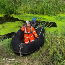 We take to a boat for a water vole and otter survey