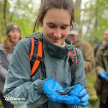 Lily Clarke gains her Level 1 Great Crested Newt Licence