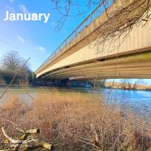 Our monthly photo comp winners for 2024