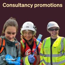 Latest promotions in our Consultancy division