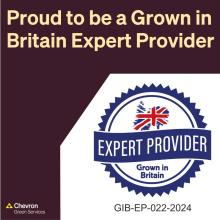 Our Consultancy division is an Expert Canopy Provider certified by Grown in Britain