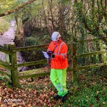 CGS offers end-to-end Arboriculture services for Estate Owners