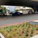 Case Study - Marylebone Flyover